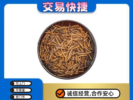 哈密回收散虫草